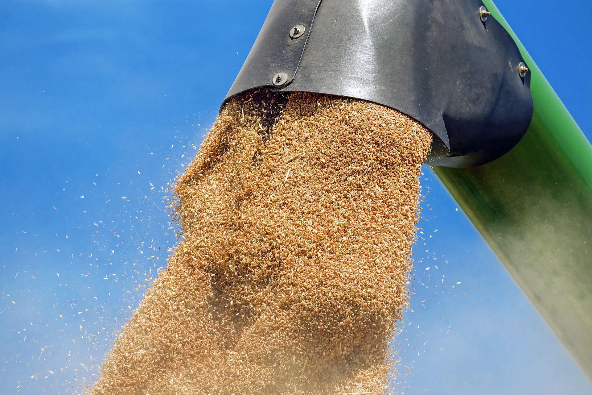Landwirtschaft und SAP